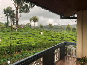 Гостиница Pedro View Homestay  Hawaeliya
